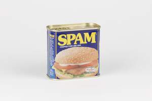 Image for National SPAM Day