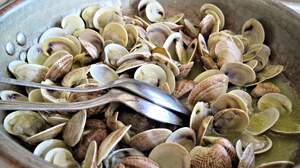 Image for National Clams on the Half Shell Day
