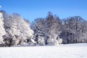 Image for The First Day of Winter