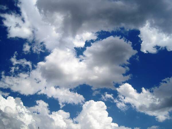 Image for International Day for the Preservation of the Ozone Layer