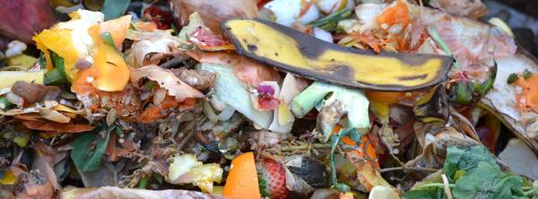 Image for Learn About Composting Day
