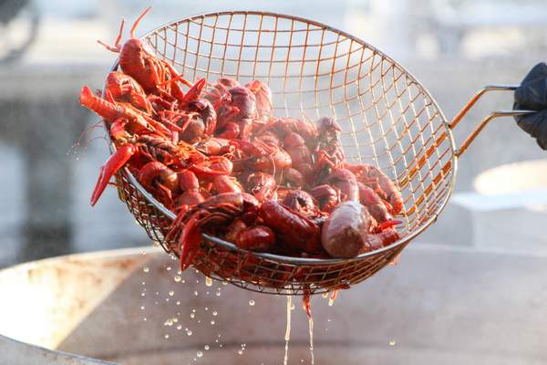 Image for Crawfish Cravers Awareness Day