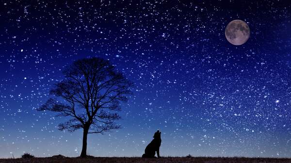 Image for Chant at the Moon Day