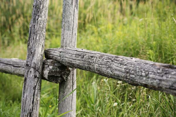 Image for National Prairie Day