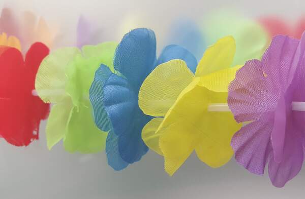 Image for Lei Day