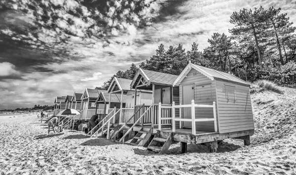 Image for Norfolk Day