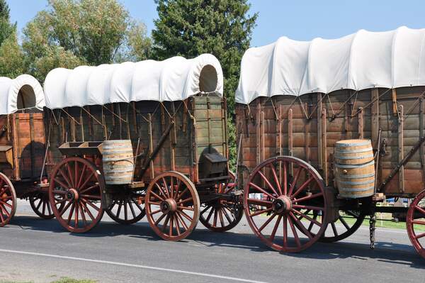 Image for Pioneer Day