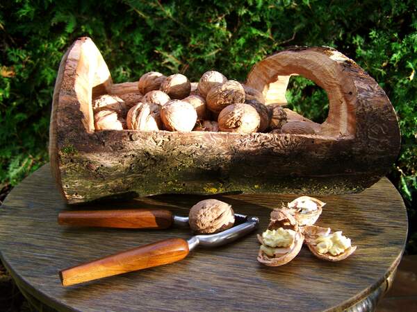 Image for National Walnut Day
